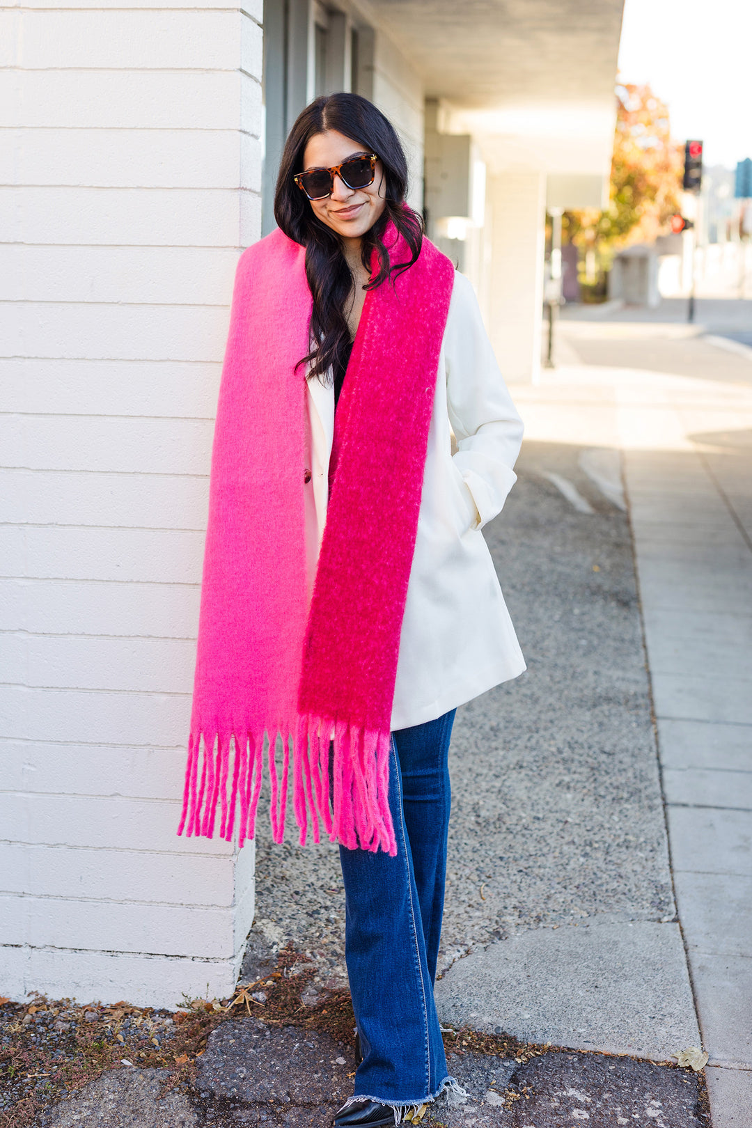 Cozy Solid Two Tone Tassel Scarf